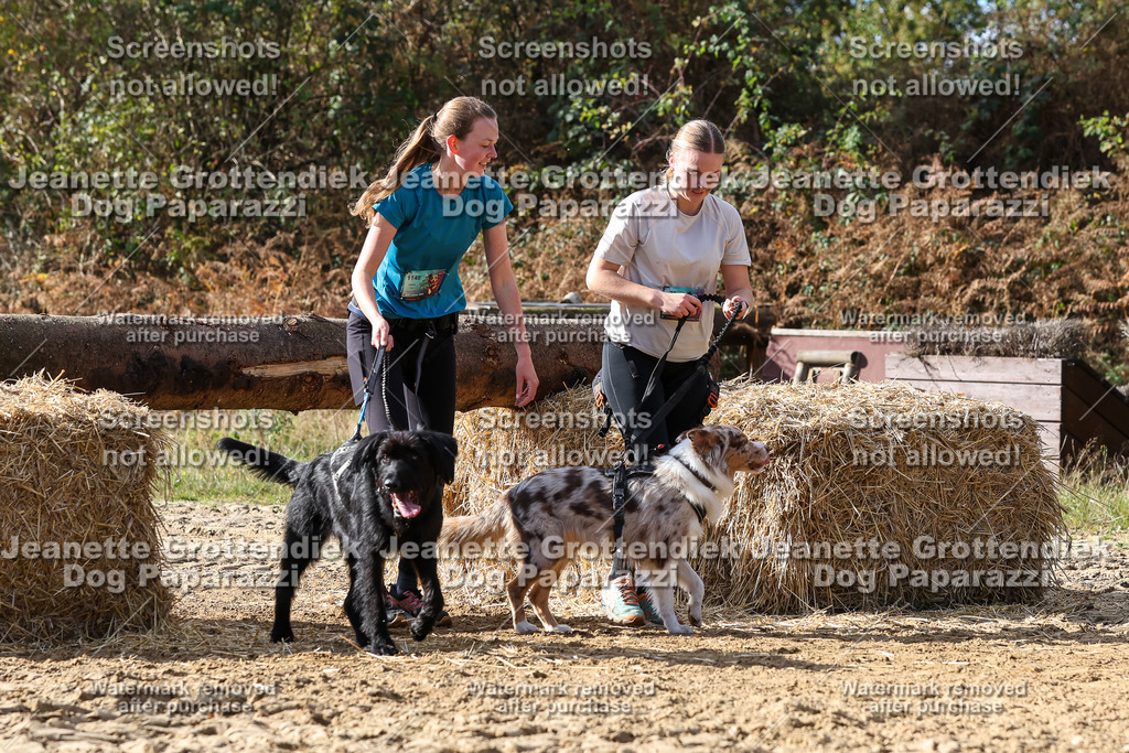 Dog Paparazzi - Strongdog 10-25-5343 | Dog Paparazzi Jeanette Grottendiek Fotografie & Videografie - Realisiert mit Pictrs.com