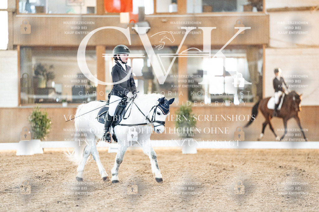 CK906374 | Turnierfotografie Pferdefotografie Trier Rheinland-Pfalz Pferdesport Reitsport Tierfotografie Sportfotografie Pferdevideo Pferdevideografie Equestrianvideography equestrianphotography  - Realized with Pictrs.com