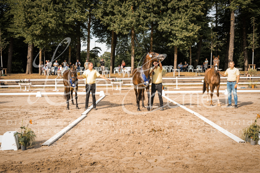 FrER00289 | Leoni Ertmer Photography - Realisiert mit Pictrs.com