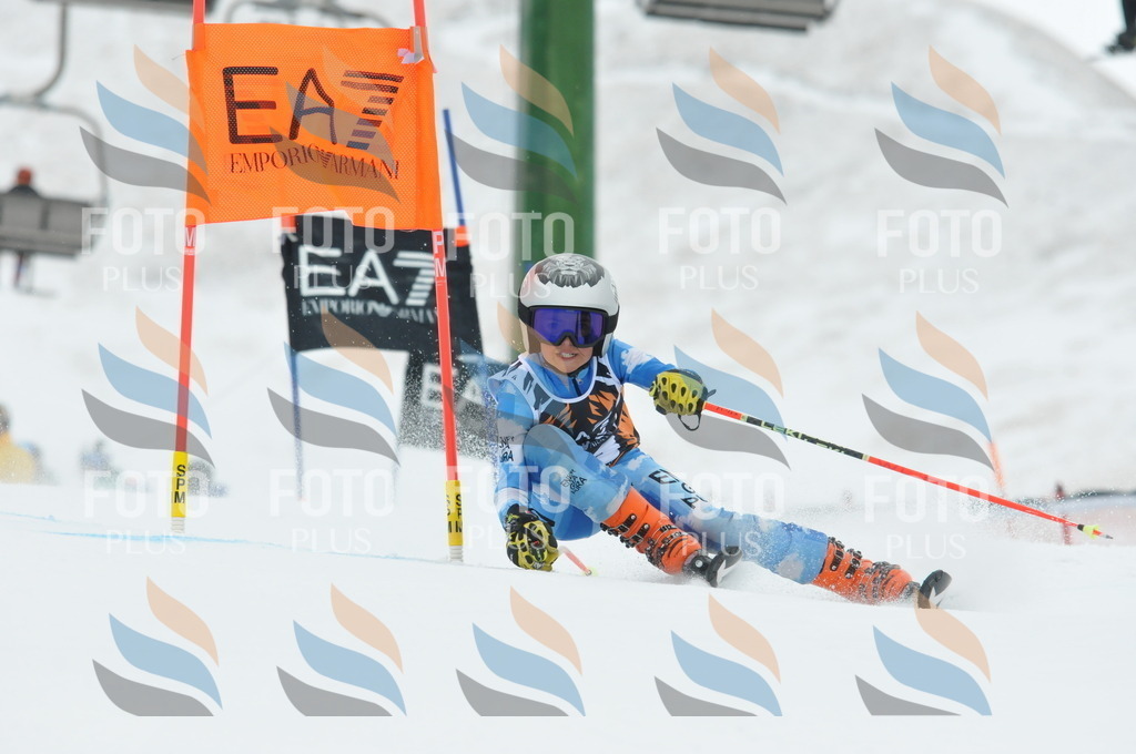 DSC_8811 | holidayphoto