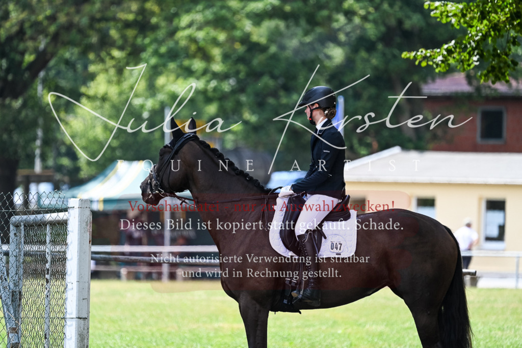 DSC_2745 | Pferde- und Turnierfotografie in Westsachsen. Pferdeportraits, Auftragszeichnungen und intuitive Kunst.