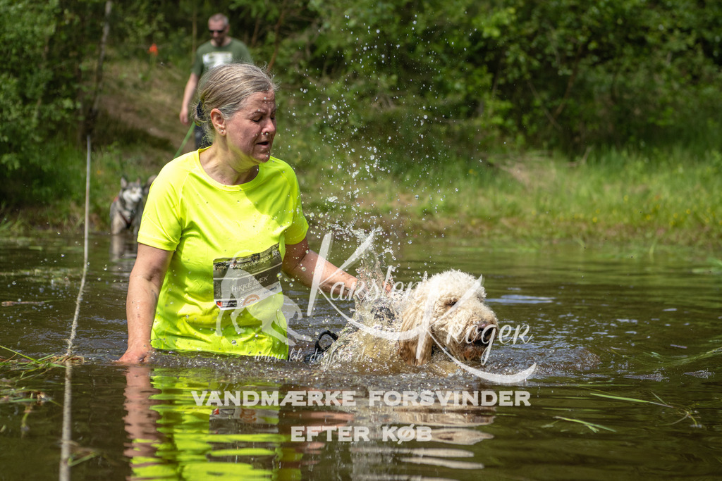 1245DKK993470 | kk-dogfotos