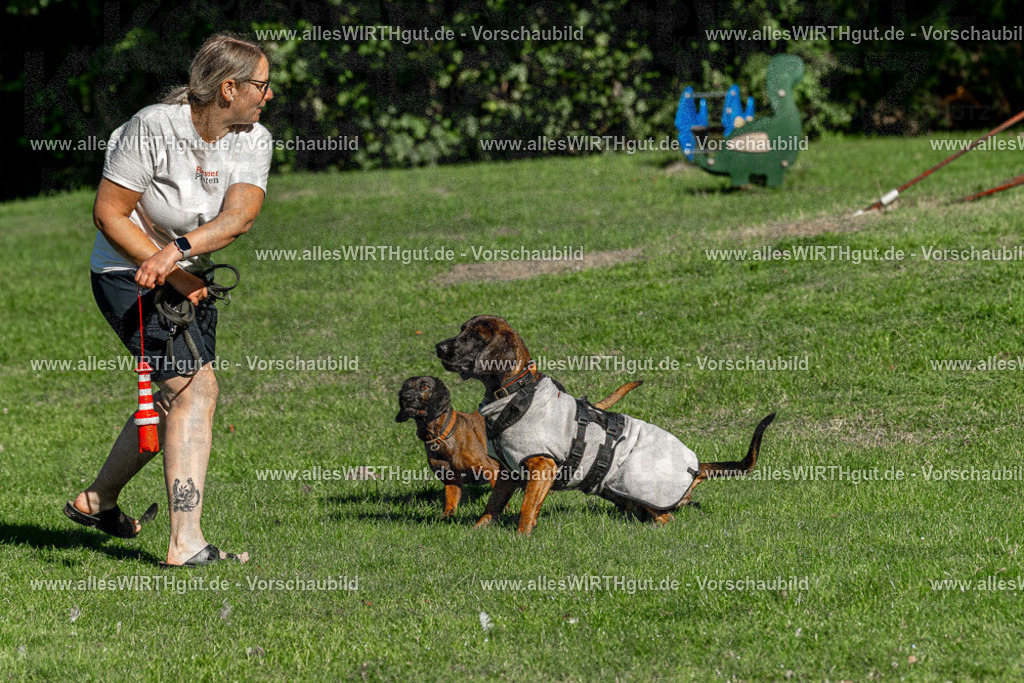 Hundeschwimmen_Volksbad_2026-allesWIRTHgut_Tierfotografie-2609061037-094725-7R509074 | Professionelle Tierfotografie in Mönchengladbach von Daniel Wirth (allesWIRTHgut). Liebevolle & natürliche Bilder von Hunden & Katzen für unvergessliche Erinnerungen.