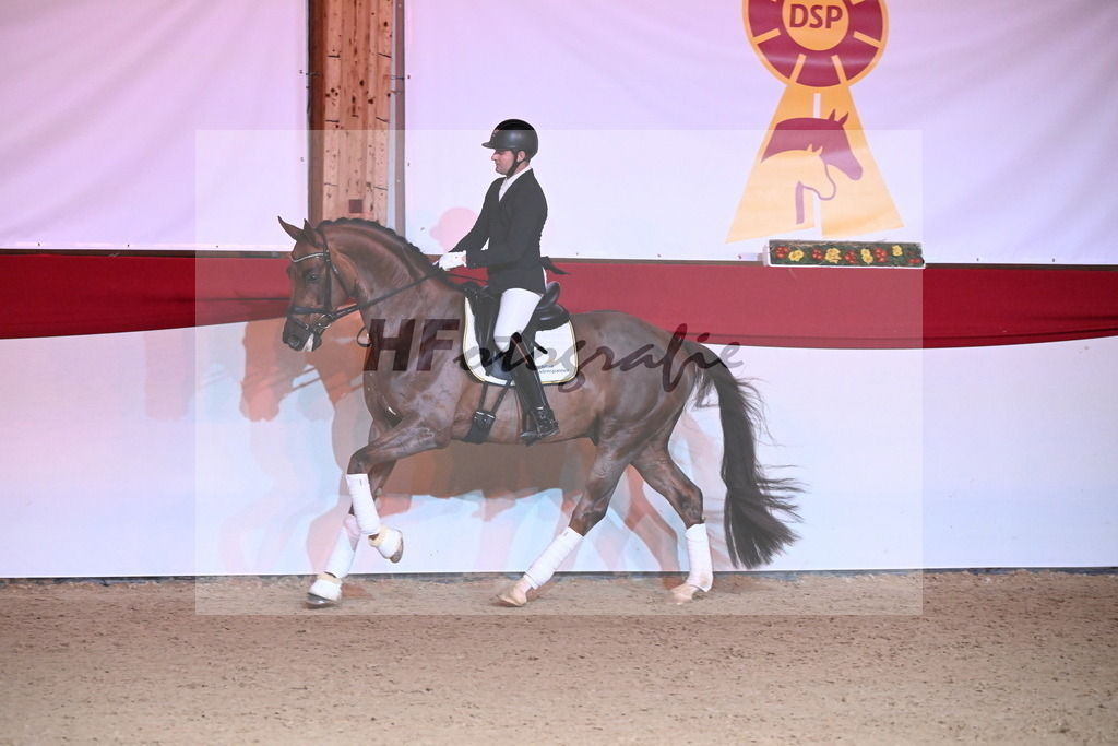 Feliciano_Wadenspanner_2254425 | hf-fotografie - Realisiert mit Pictrs.com