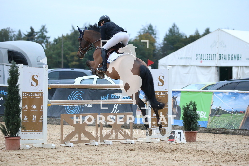 DL2Q6508 | Willkommen bei Brunnmayr - Design & Fotografie – Ihrem Spezialisten für Reitturniere und Pferdeveranstaltungen in Oberösterreich, Salzburg und Bayern! Seit über 17 Jahren sind wir leidenschaftlich dabei.