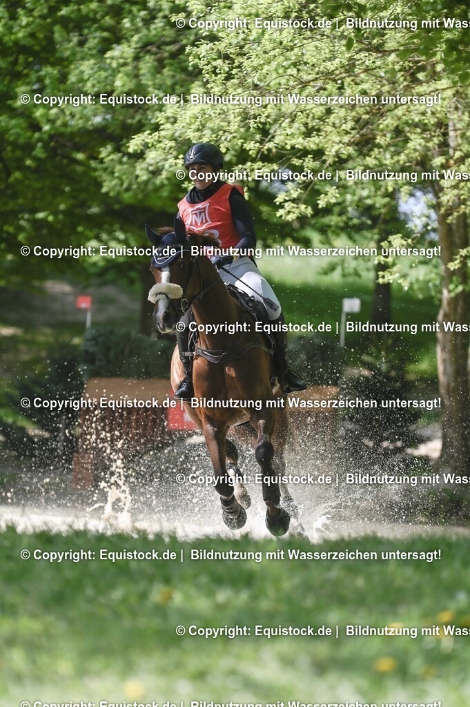 20250517_CCI2_Gelände_0990 | Foto: Thomas Hartig