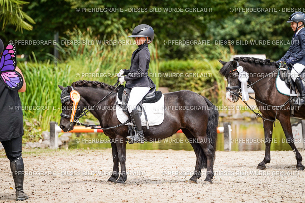 DSC02942 | Pferdegrafie