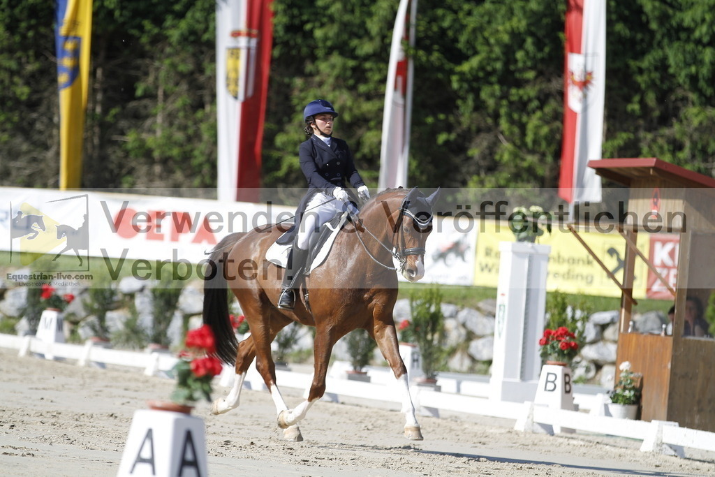 _MG_3045 | equestrian-live-com