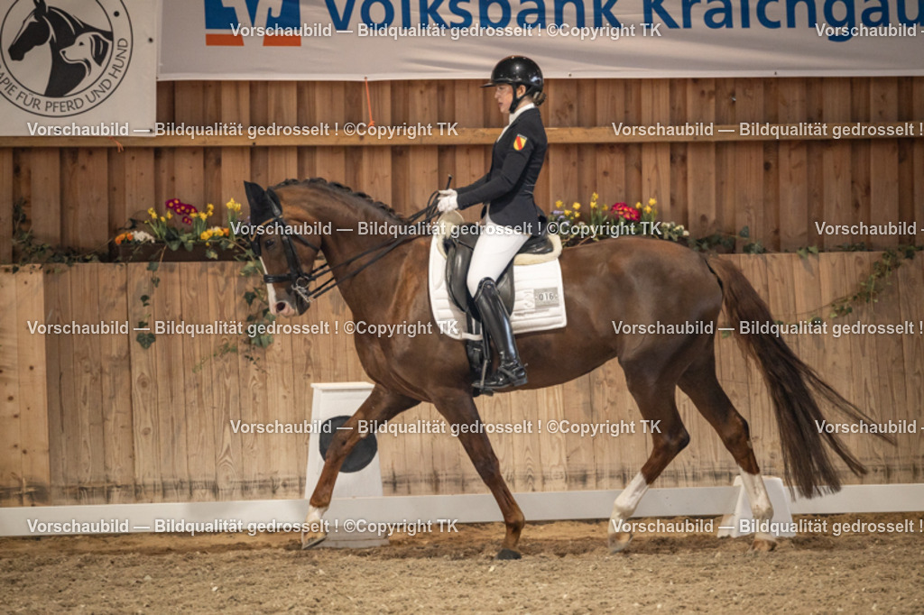 _D5A9466 | Emotionale Pferde- & People-Fotografie rund um Heidelberg, Leimen & Umgebung. Natürliche Fotos von Pferd, Mensch & Familie. Jetzt Termin sichern!