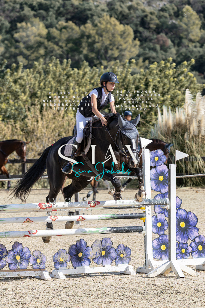 IMG_0461 | s-jay-photography - Realisiert mit Pictrs.com