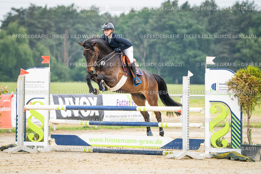 DSC09267 | Pferdegrafie