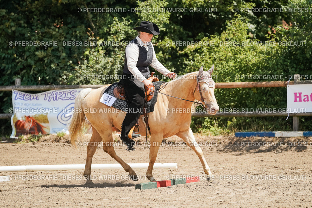 DSC06941 | Pferdegrafie