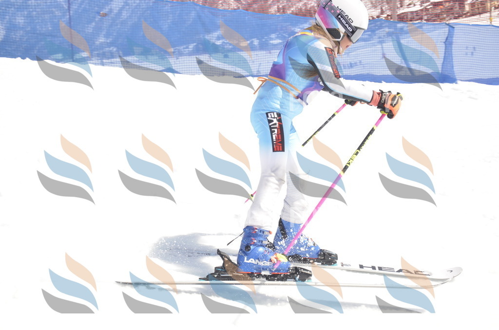 _ELE9448 | holidayphoto