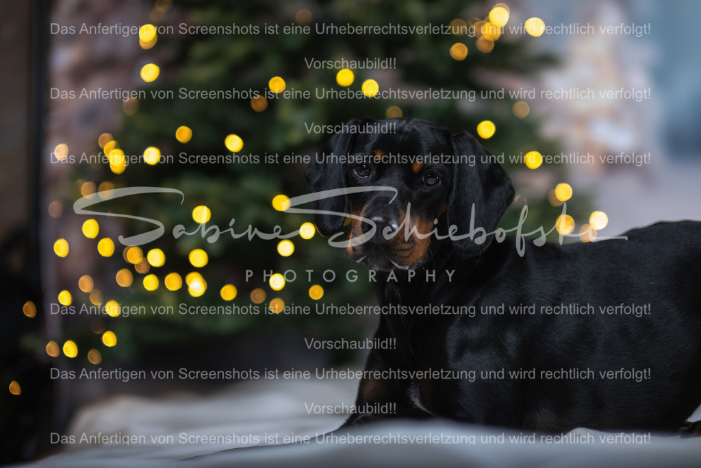 DSCF4386 | People- und Tierfotografie, Imageaufnahmen, Veranstaltungsfotografie und Wandbilder aus der Natur ★ Made in Germany ✔️ Druck + Downloads ✔️ Naturfotografie in Top Qualität ★ schneller Versand, weltweite Lieferung! - Realisiert mit Pictrs.com