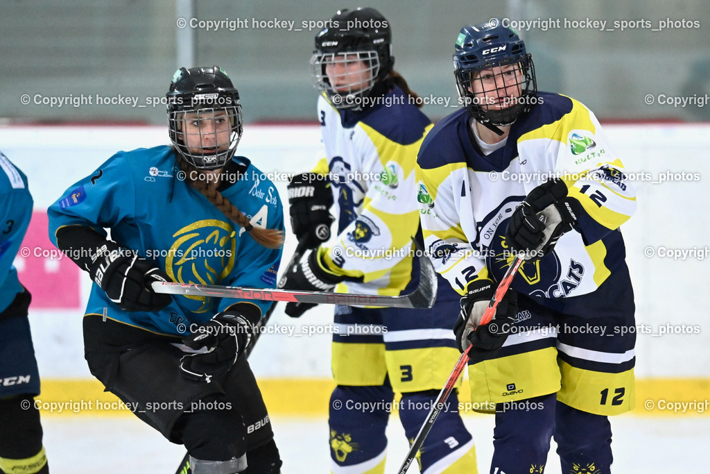 BST_6414 | hockey sports photos, Pressefotos, Sportfotos, hockey247, win 2day icehockeyleague, Handball Austria, Floorball Austria, ÖVV, Kärntner Eishockeyverband, KEHV, KFV, Kärntner Fussballverband, Österreichischer Volleyballverband, Alps Hockey League, ÖFB, 