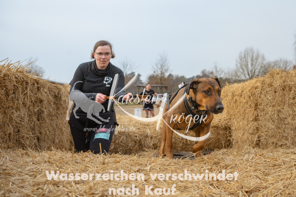 0917_ZZ97945 | kk-dogfotos