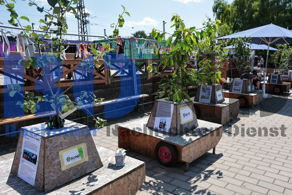 SES_BOBIEN20250619-3 | bond - Realisiert mit Pictrs.com