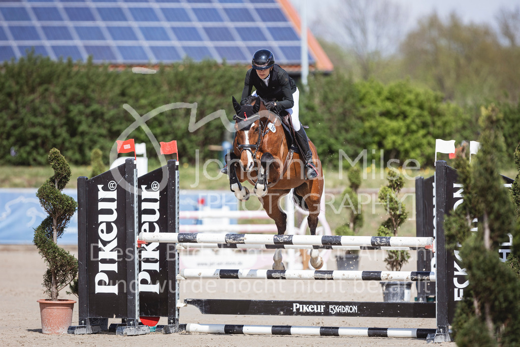 250419_Frühlingsfest_Stil-A2-2-602 | Deine schönsten Turniermomente als professionelle Fotos! Entdecke hochwertige Pferdesport-Fotografie im Online-Shop. Jetzt Fotos finden & bestellen!