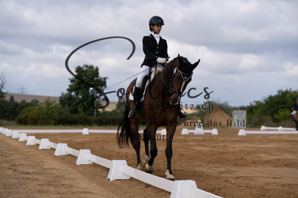 A7V05185 | Pferdefotograf