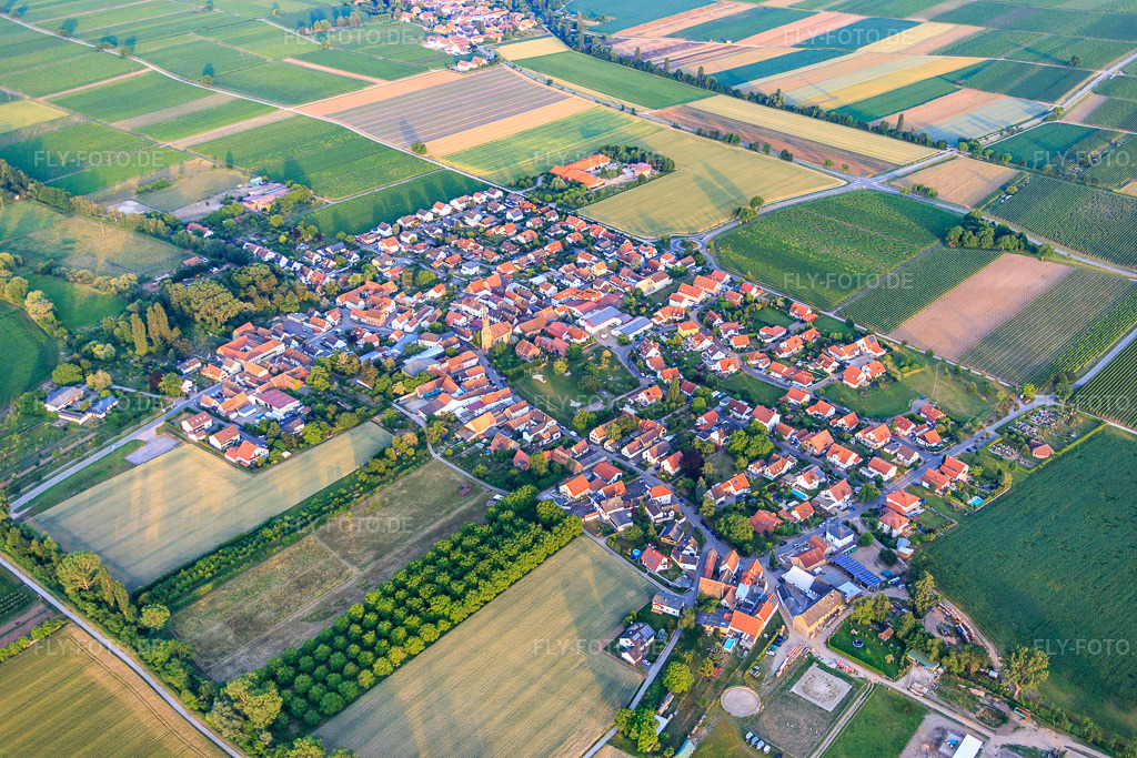 Luftbild: Dorfübersicht aus Nordwesten in Großfischlingen im Bundesland Rheinland-Pfalz in Deutschland. Foto: IMG_082786.jpg vom 25.06.2015 durch Werner Riehm/FLY-FOTO.de