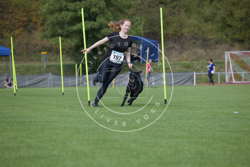 0L8A3463 | Hundefotografie, Tierfotograf, Pfotenfotografie, Fotoshooting Hund, Hunde Portrait, Hundesport, Hundeportraits, Heideshooting, Hunde, Sportfotograf, Hundefotograf, Turnierhundsport, THS,  - Realisiert mit Pictrs.com
