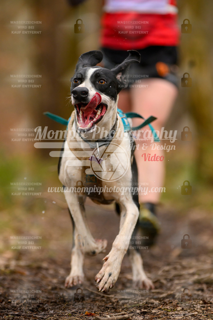 MompixPhotography_CDSM24_SA_Fun-10 | PayLife