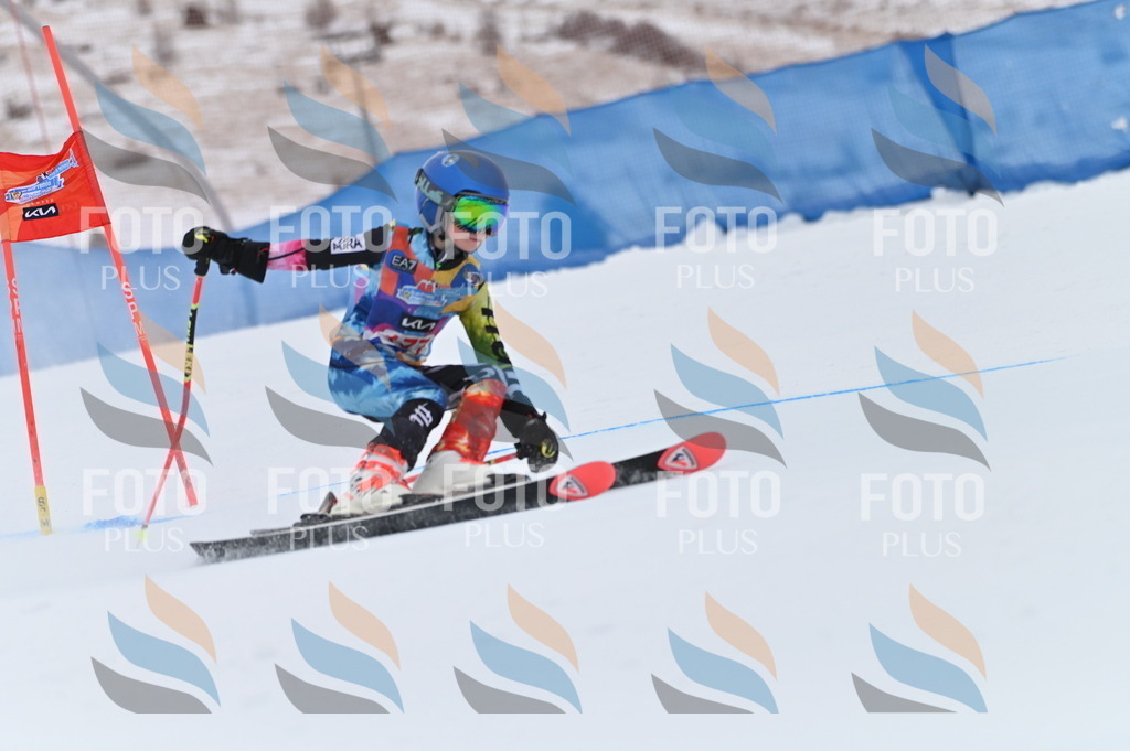 BGV_0948 | holidayphoto