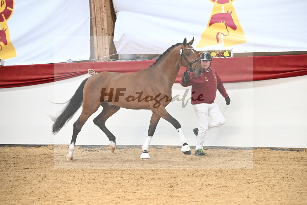 Kat.-Nr. 5 v. Charaktervoll_Meyer_3265066 | hf-fotografie - Realisiert mit Pictrs.com