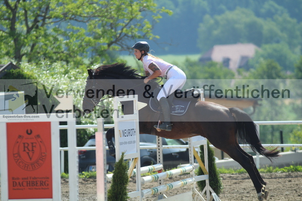 IMG_3334 | equestrian-live-com