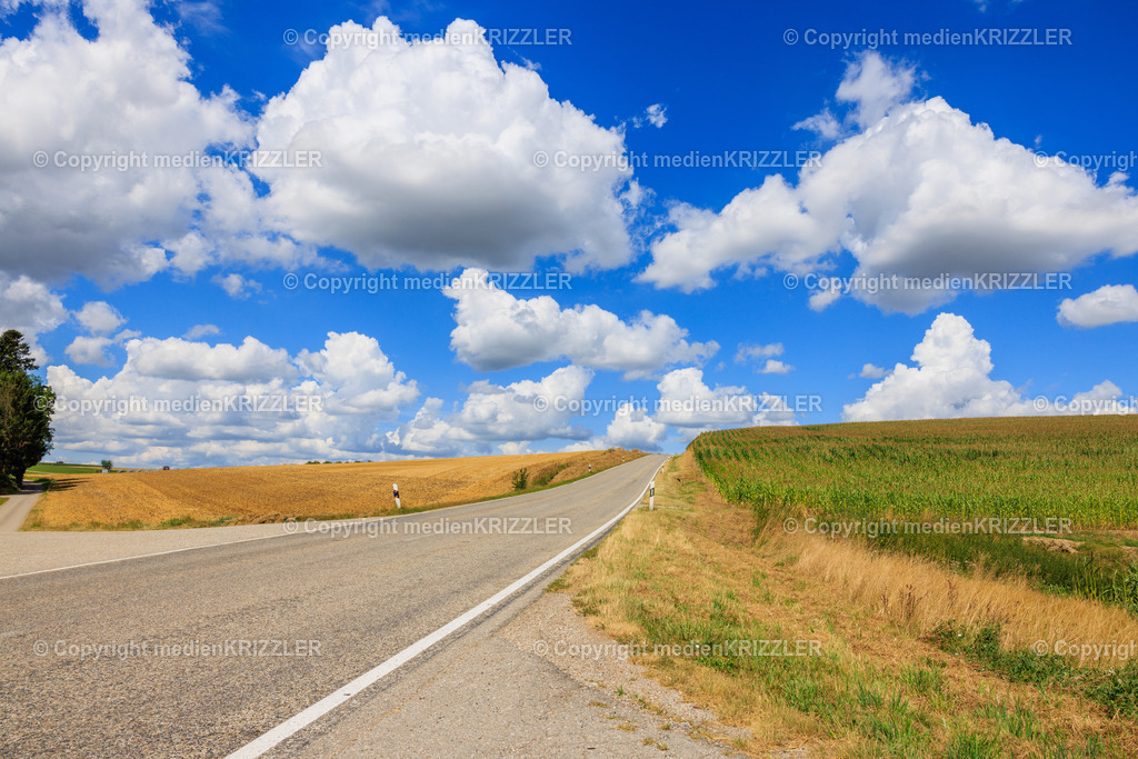 _J3A8342 | medienkrizzler - Realisiert mit Pictrs.com