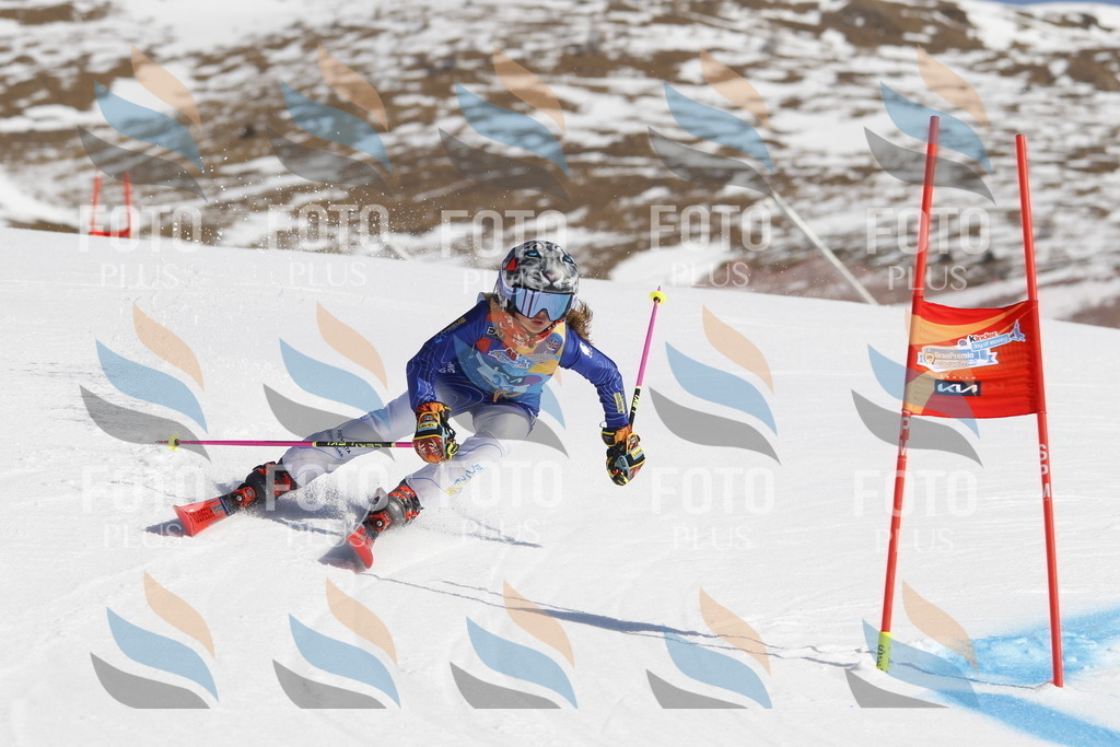 _U3G9094 | holidayphoto