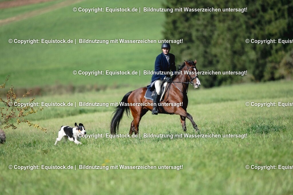 20251011_Jagd-Marbach_0235 | Foto: Thomas Hartig