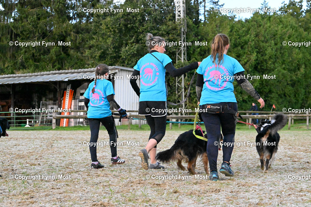 DSC_3197 | Hallo und herzlich Willkommen auf meiner Shop-Seite Fynn Most.

Ich wünsche Dir viel Spaß beim stöbern durch die Bilder, wenn Du Fragen hast oder Bilder vermisst, kannst du mir gerne eine Nachricht schreiben. - Realisiert mit Pictrs.com