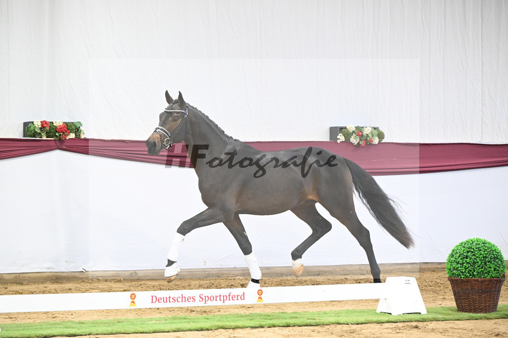 Kat-Nr. 21 St. Emilion x Quantensprung_Marianne Jerich_47250678 | hf-fotografie - Realisiert mit Pictrs.com