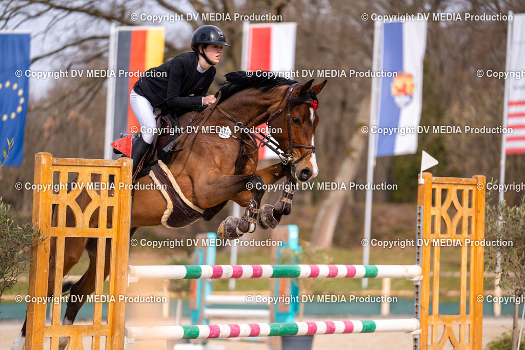 Kranichstein Tag 2-1581 | dv-media-shop - Realisiert mit Pictrs.com