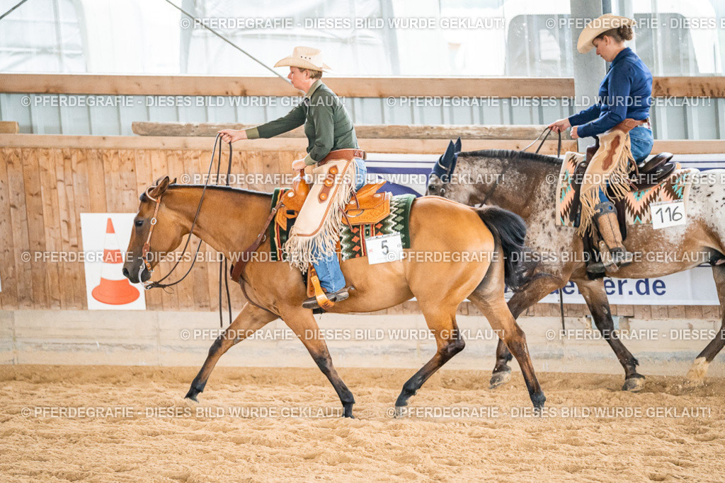 DSC01000 | Pferdegrafie