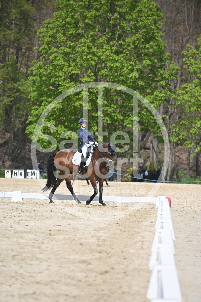 DSC_2158 | sattelsport - Realisiert mit Pictrs.com