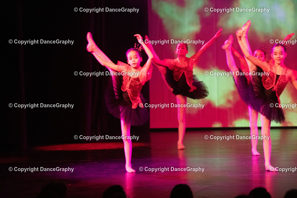 GPHY2177 | DanceGraphy - Realisiert mit Pictrs.com