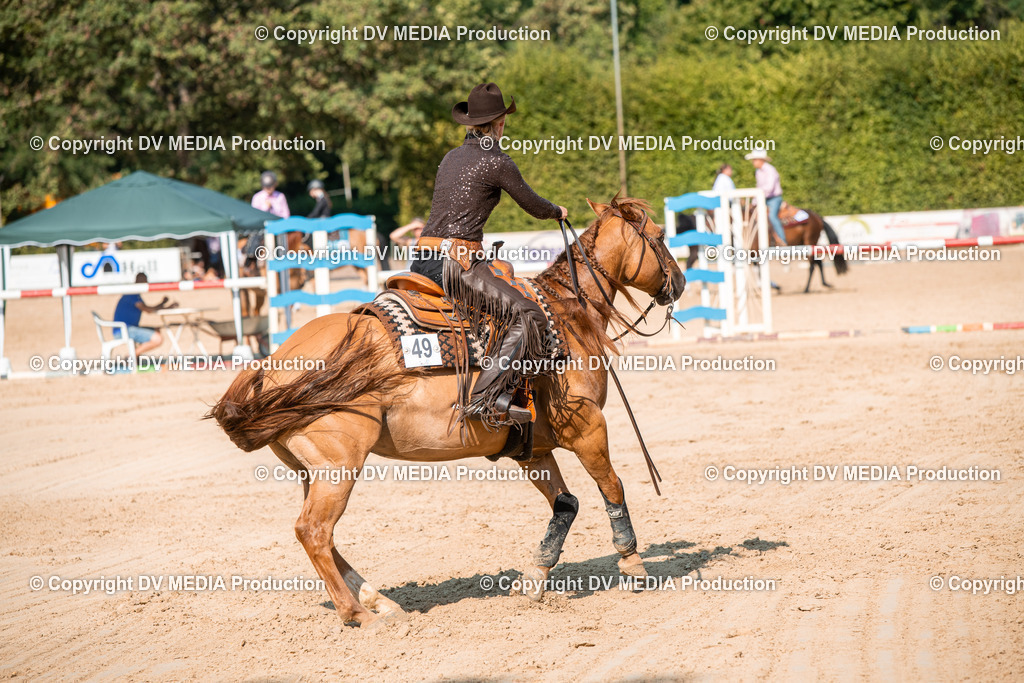 ZS2_8781 | dv-media-shop - Realisiert mit Pictrs.com