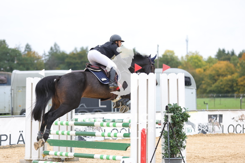 0P6A2899 | Willkommen bei Brunnmayr - Design & Fotografie – Ihrem Spezialisten für Reitturniere und Pferdeveranstaltungen in Oberösterreich, Salzburg und Bayern! Seit über 17 Jahren sind wir leidenschaftlich dabei.