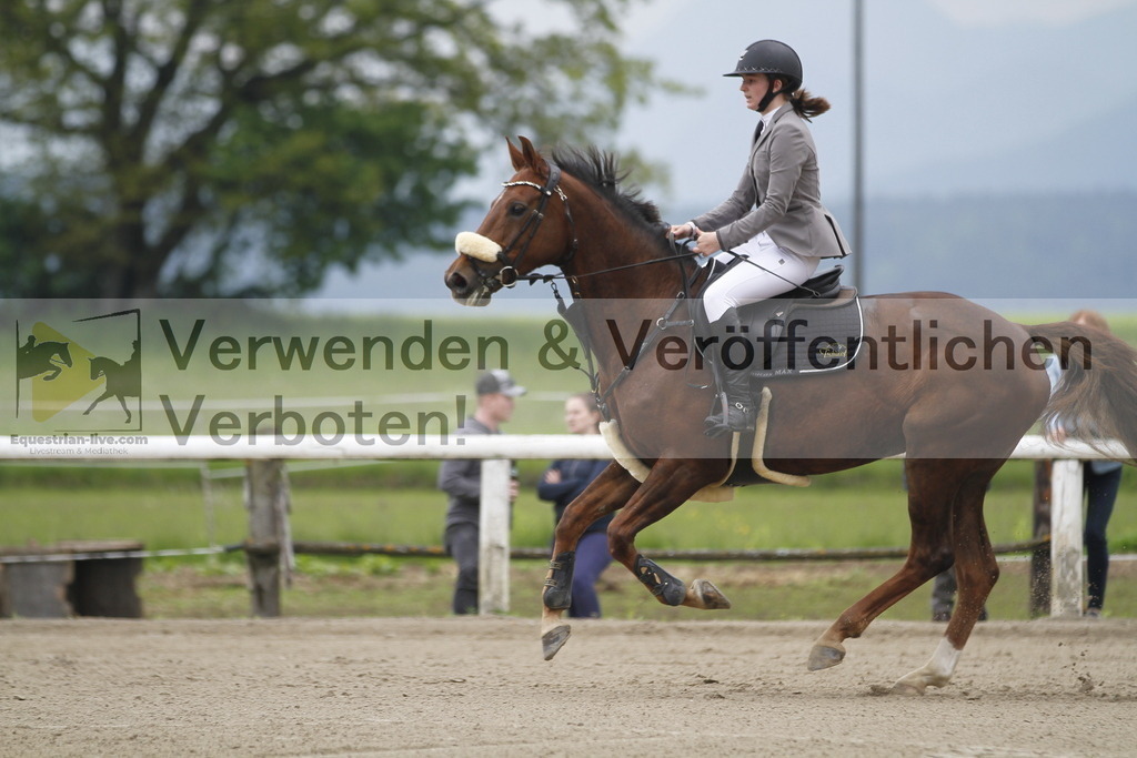 _MG_7836 | equestrian-live-com