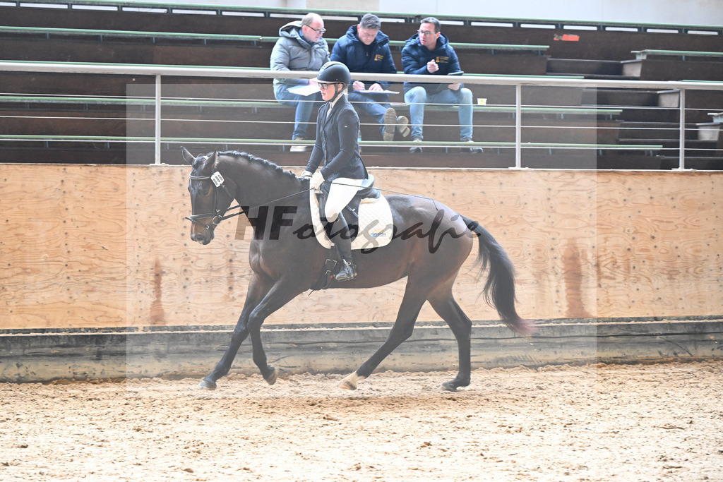 Kat-Nr. 6 Penelope v. Kros_Schwind_50250318 | hf-fotografie - Realisiert mit Pictrs.com