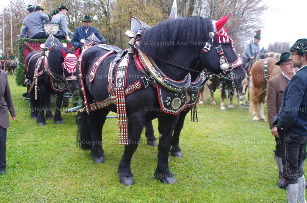 IMGP9440 | fotografiert von Axel PollmannLeonhardi Wallfahrt Benediktbeuern und Murnau, Fronleichnam, Fasching, Landschaft im Loisachtal und Benediktbeuern  - Realisiert mit Pictrs.com