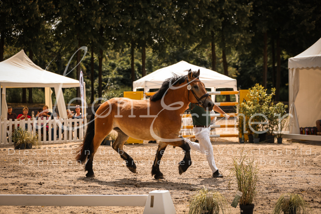 2.Sa00080 | Leoni Ertmer Photography - Realisiert mit Pictrs.com