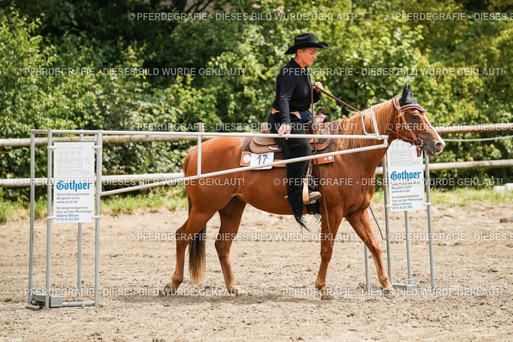 DSC08109 | Pferdegrafie