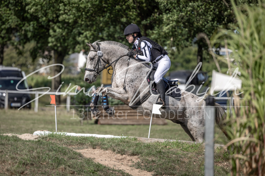 20250907-_3LI9989 | Tierfotografie Pferde, Hunde, Katzen, Haustiere.
Turnierfotografie Reitturniere, Reiten, Springreiten, Dressur in Hanau, dem Main-Kinzig-Kreis und dem Rhein-Main- Gebiet um Frankfurt