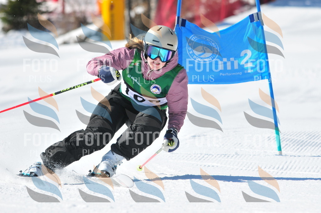 C4198 | holidayphoto