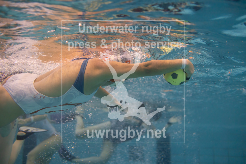24. - 26.11.2023: Unterwasser-Rugby Champions Cup 2023  | Charity Ramirez von den amerkianischen Damenmeister NJ Hammerheads schwimmt mit dem Unterwasser-Rugby Ball an der Wasseroberfläche. - Realisiert mit Pictrs.com