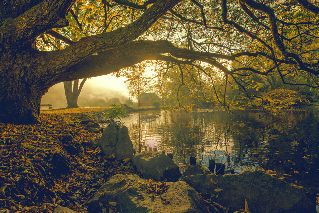 Herbst am Waldsee | Herbstlicher Waldsee - Realisiert mit Pictrs.com
