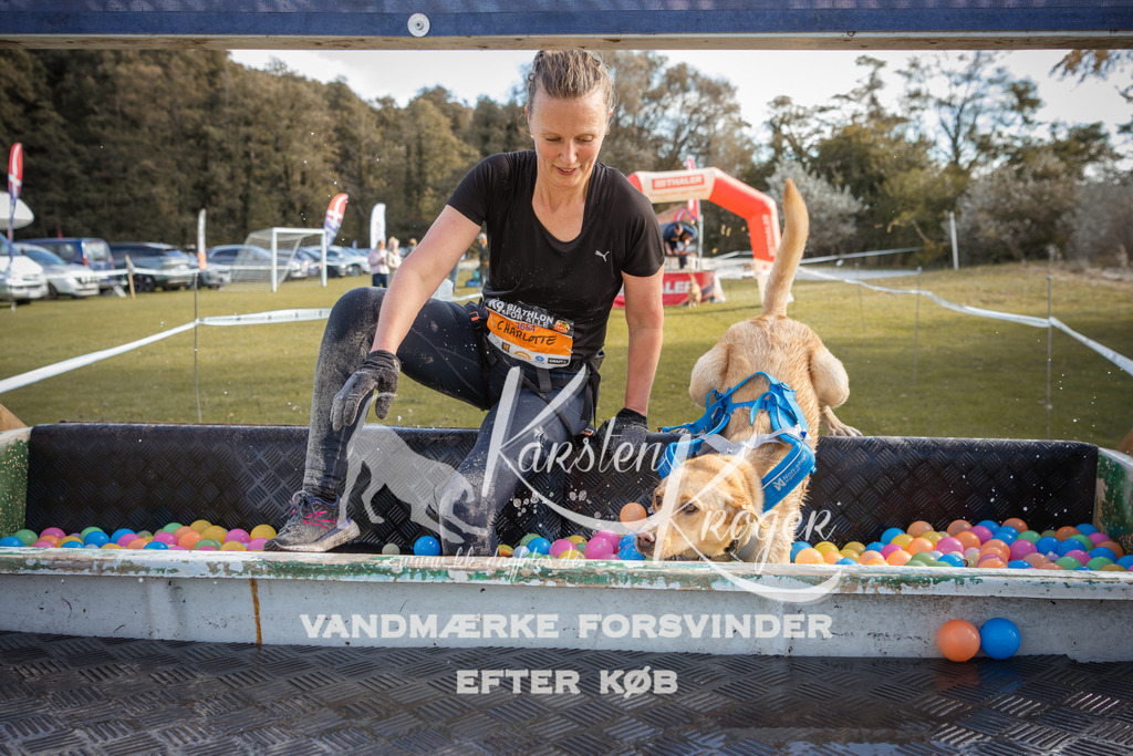 1313_ZZ99660-2 | kk-dogfotos